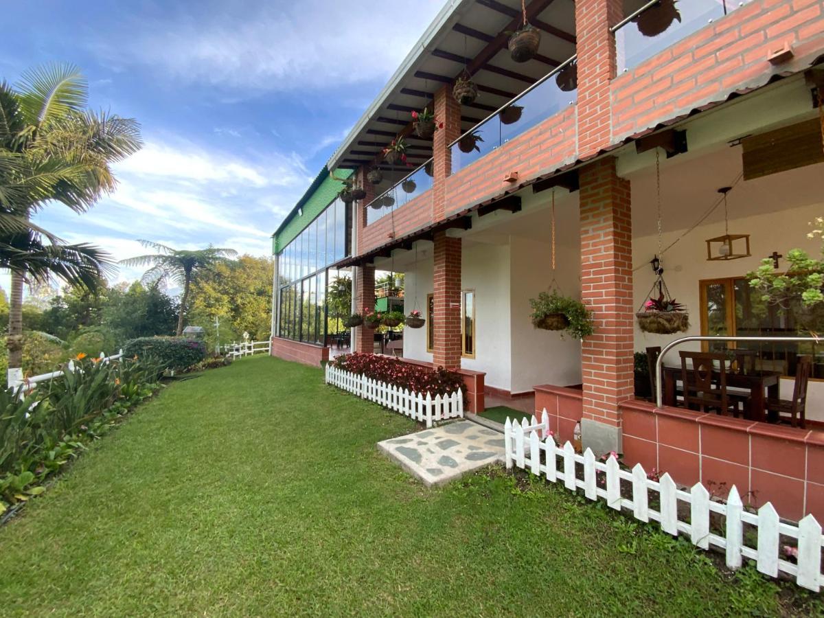 12 Palmas- Aeropuerto Jmc Bed and breakfast 3*